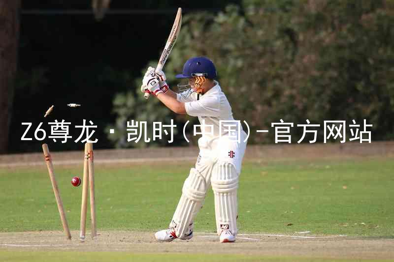 Z6尊龙·凯时(中国)-官方网站